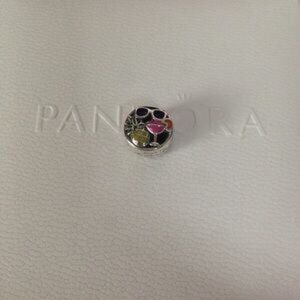 Pandora summer fun charm